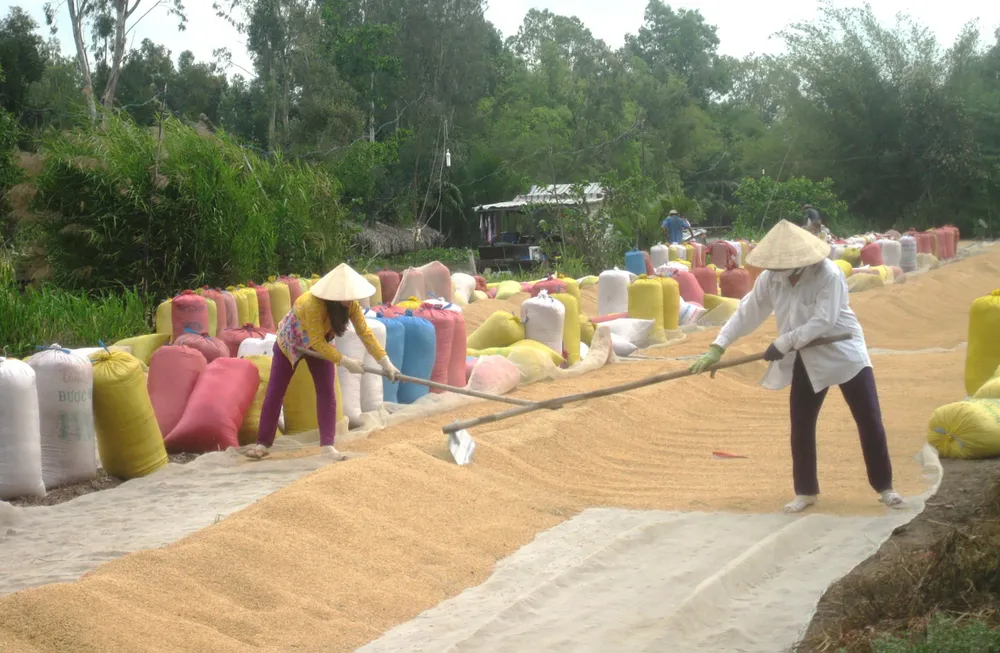 Đồng Tháp duy trì mục tiêu tăng trưởng ảnh 1