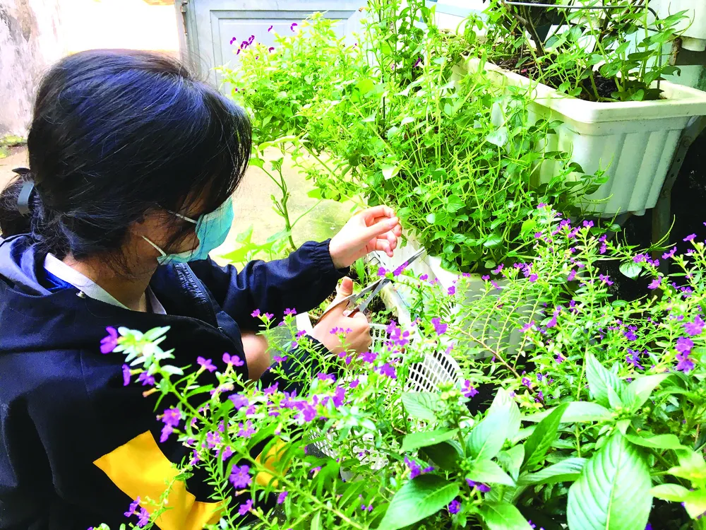 Gắn kết yêu thương ảnh 1