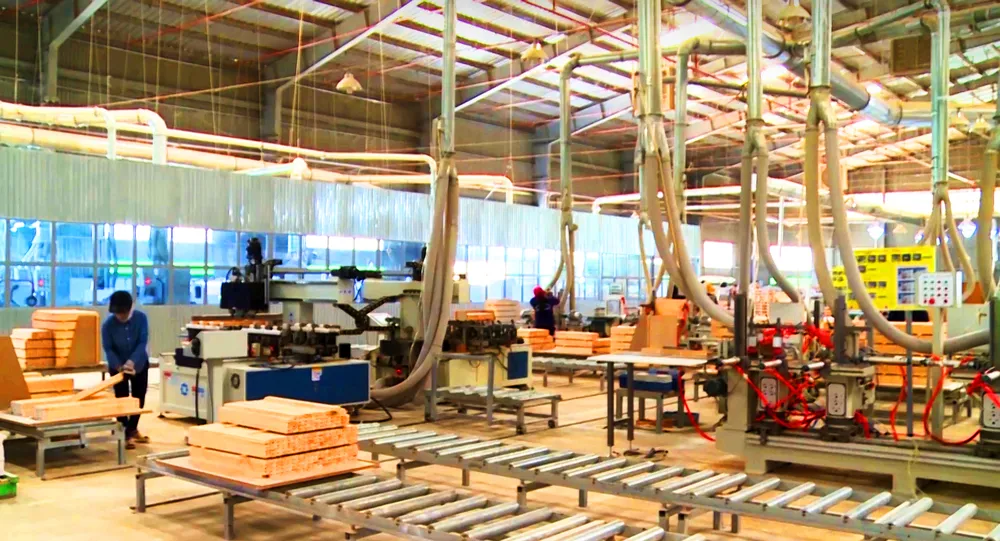 Thủ phủ xuất khẩu gỗ trầm lắng ảnh 1