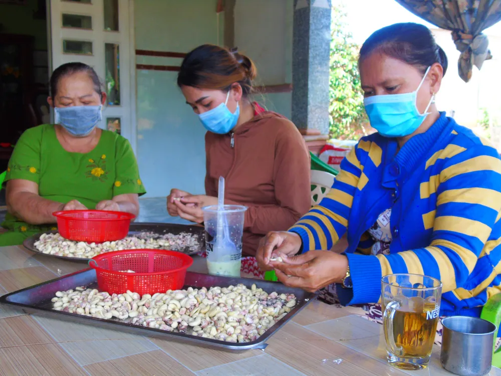 An cư cho người di cư ảnh 1