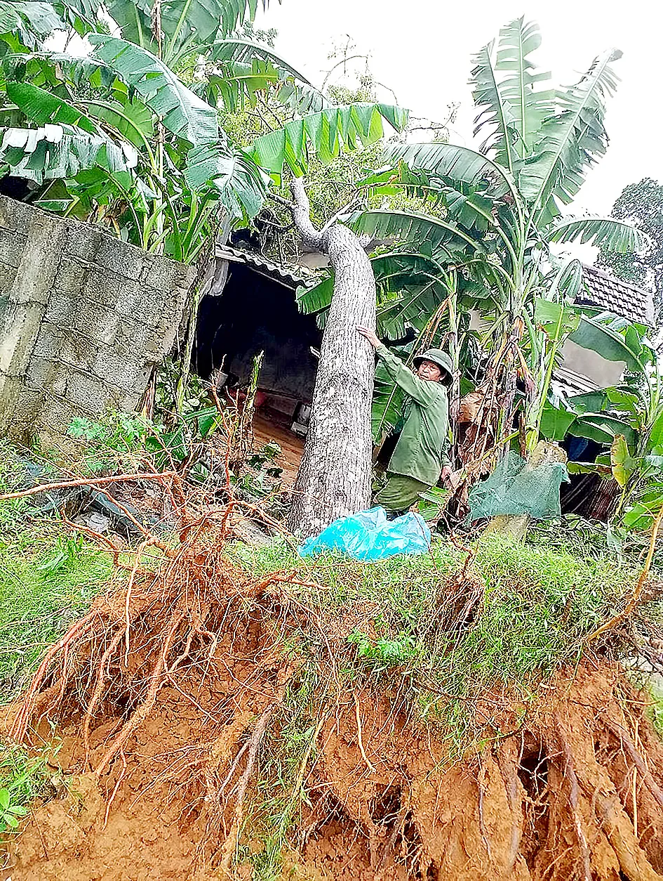 Nghệ An ngập nặng do... mưa lớn ảnh 1