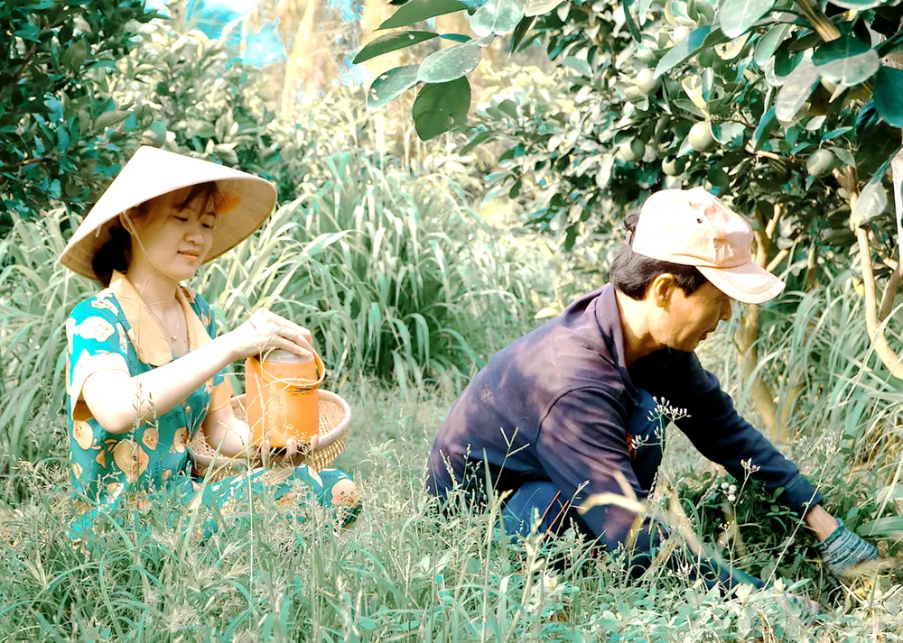 Mạng xã hội - Cần thiết hay thiết yếu? ảnh 1