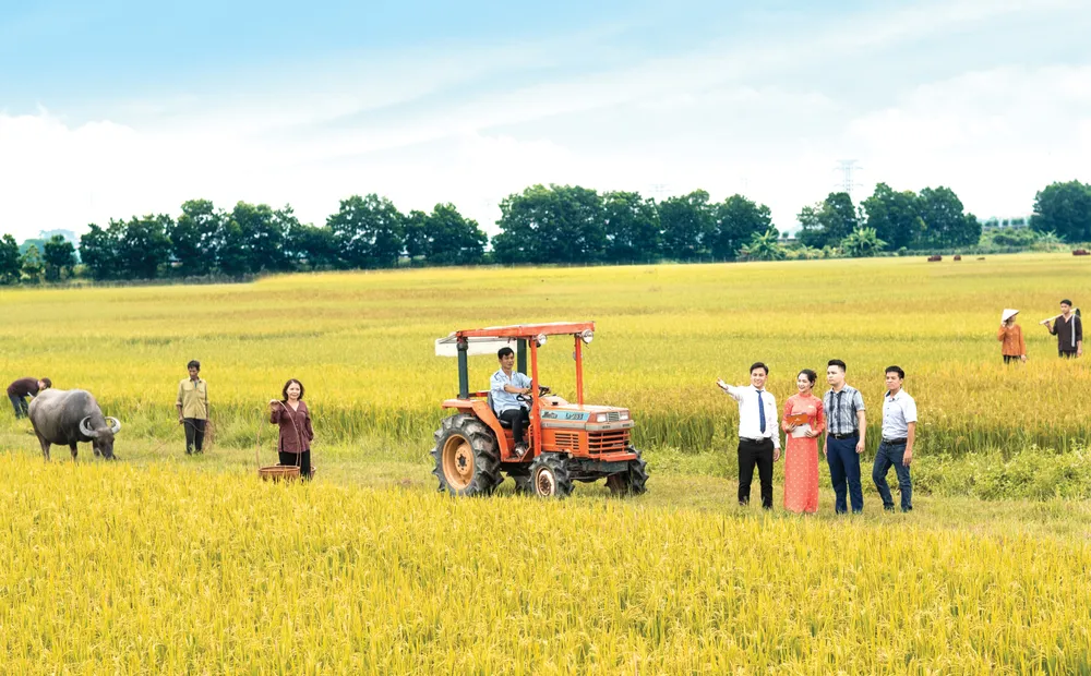 Cho vay nông nghiệp là ưu tiên hàng đầu của LienVietPostBank