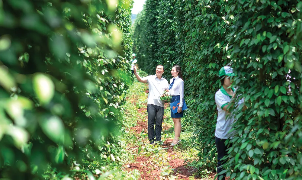 Nông nghiệp thành “chiến trường” ưu tiên hàng đầu của LienVietPostBank ảnh 1