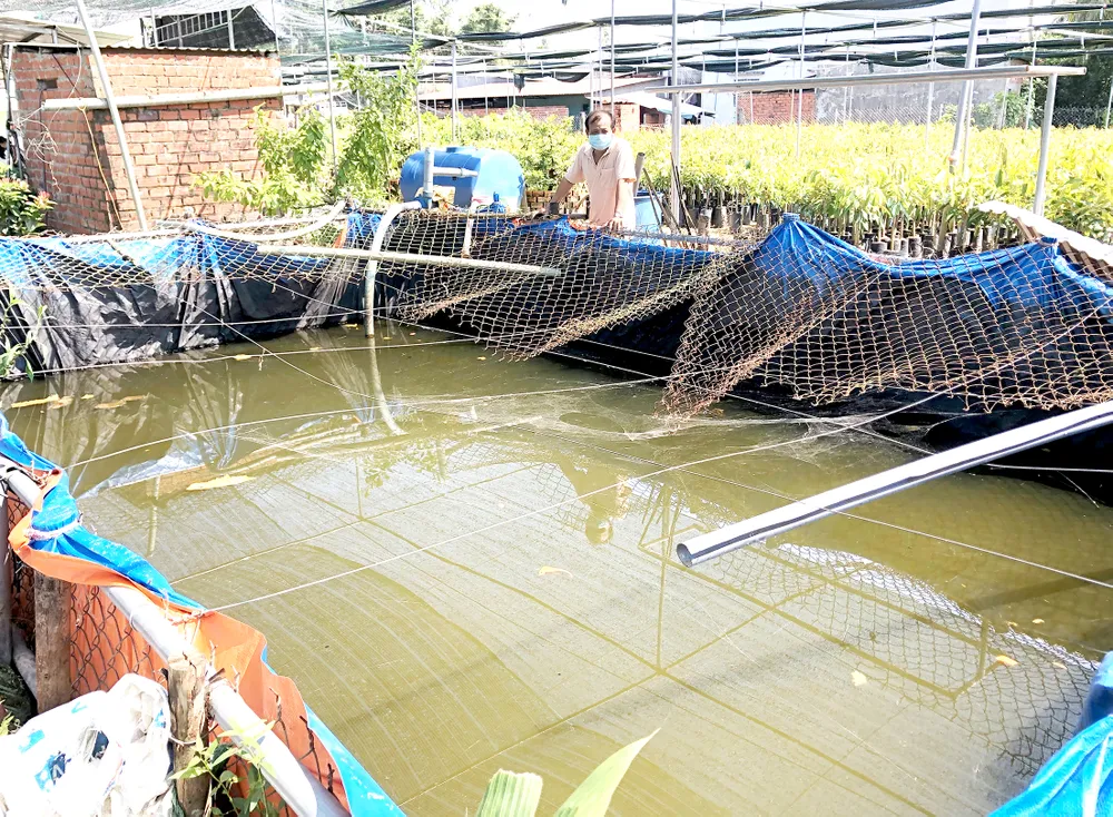 Đồng bằng sông Cửu Long: Trữ ngọt, phòng hạn mặn ảnh 1