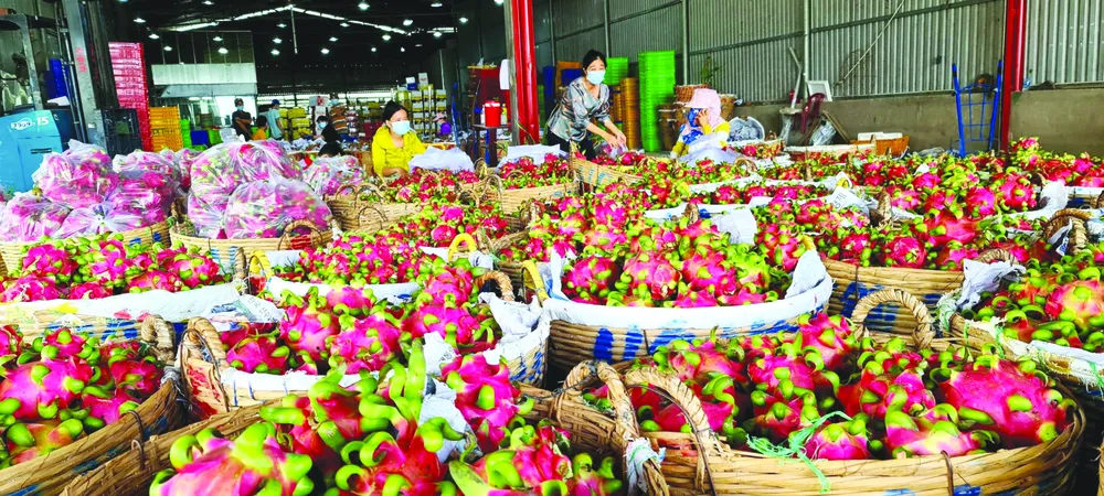 Long An hấp dẫn nhà đầu tư ảnh 1