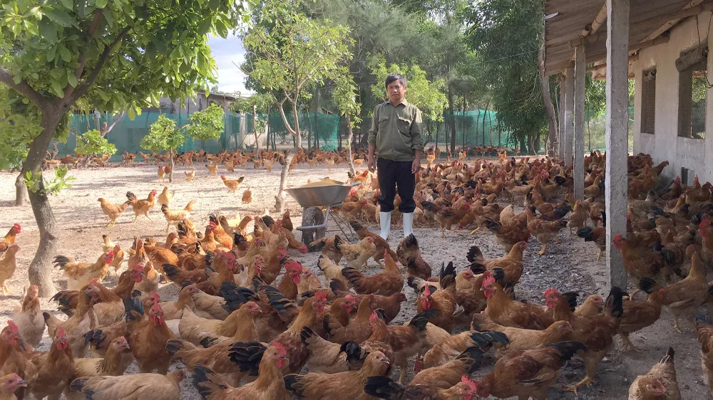 Làm giàu từ “sa mạc cát” ảnh 1