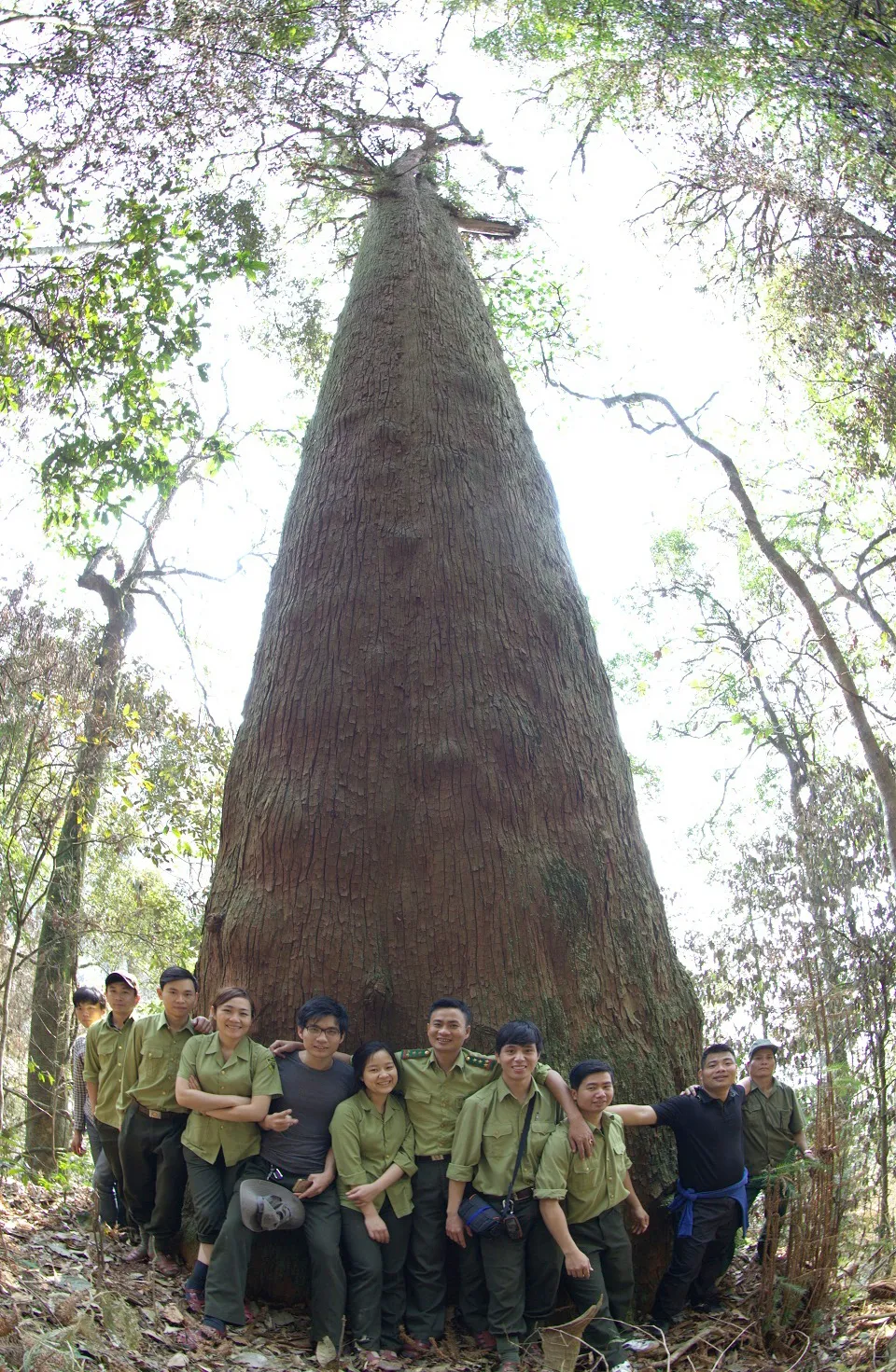 Dưới tán rừng già ảnh 7