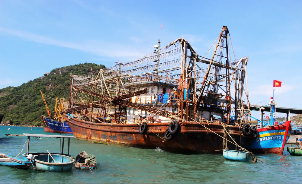 Nhiều chủ tàu vỏ thép 67 lâm cảnh khốn đốn ảnh 1