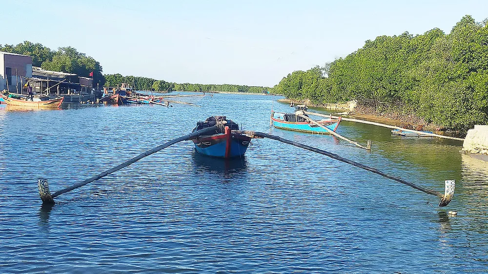 Ngư dân đầm Thị Nại kêu cứu ảnh 1