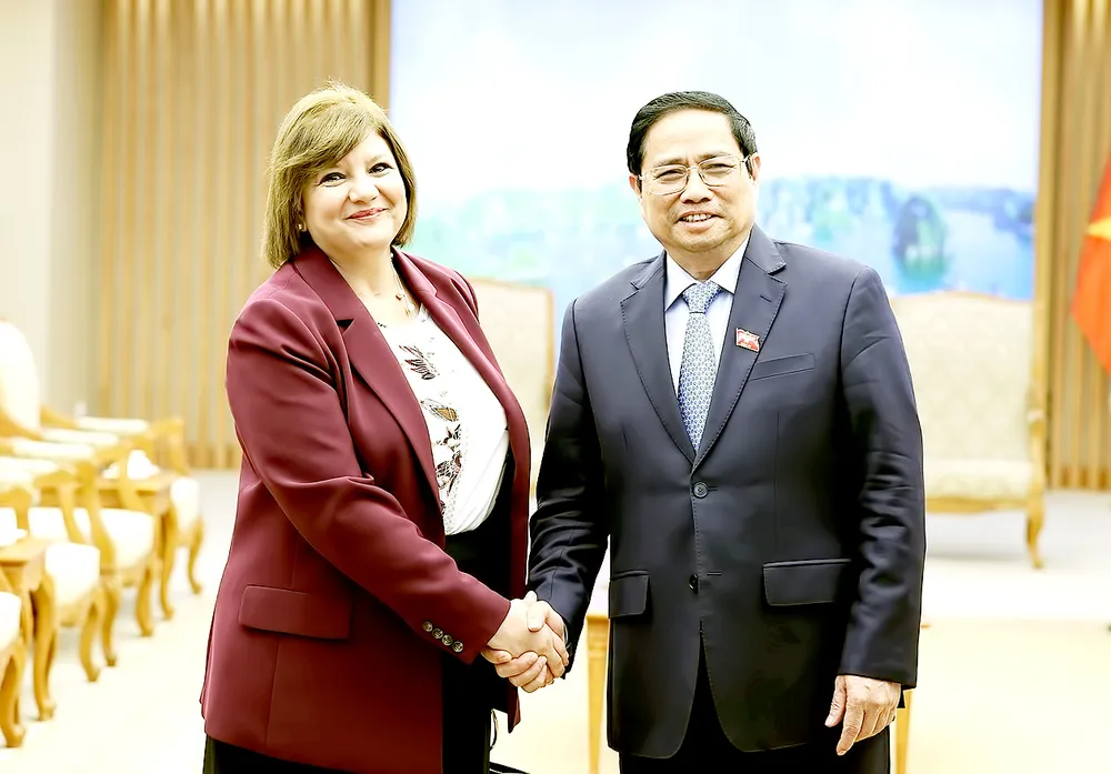 Đưa kim ngạch thương mại Việt Nam - Ai Cập lên mức 1 tỷ USD/năm ảnh 1