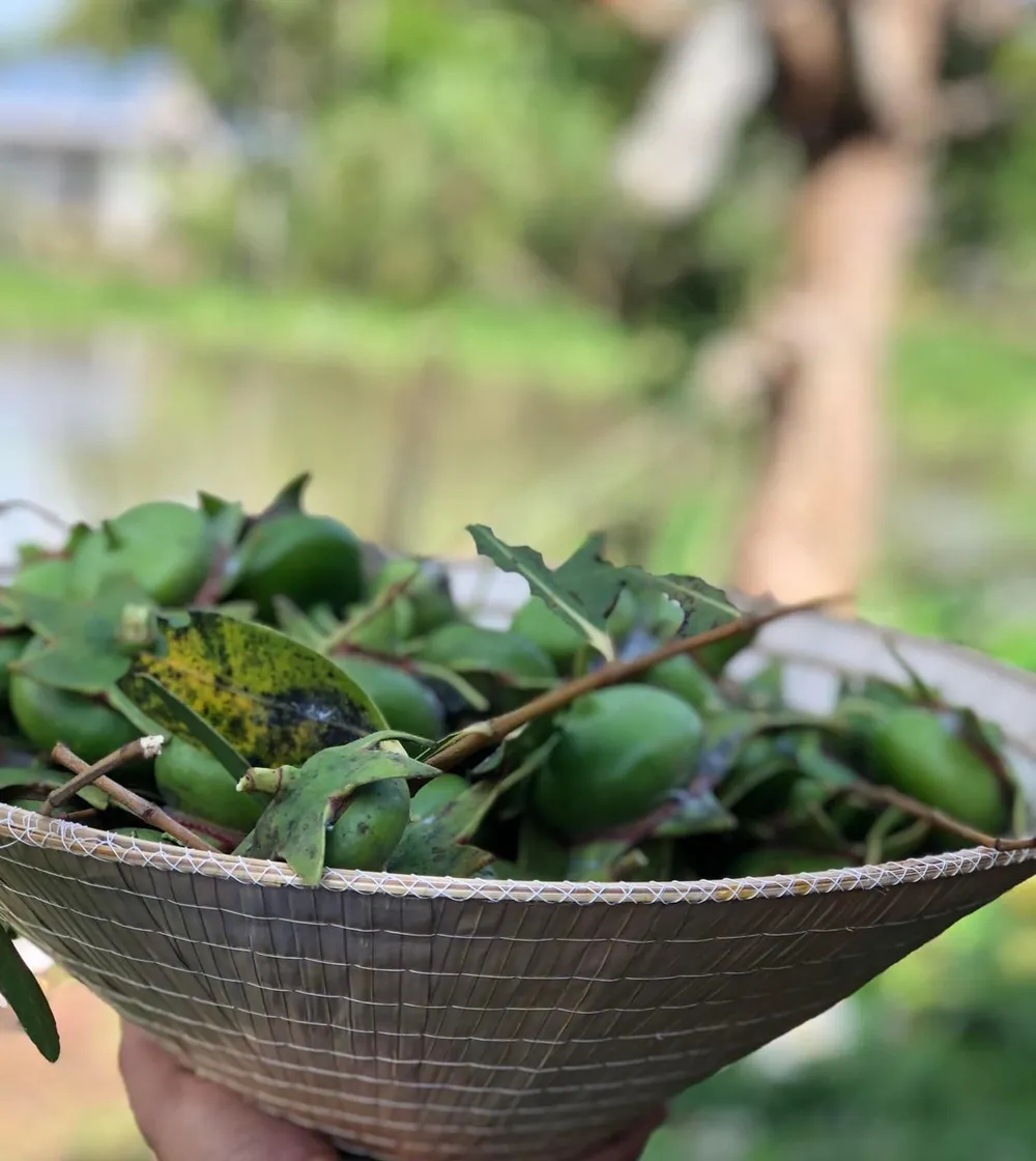 Chua chát vị bần ảnh 1