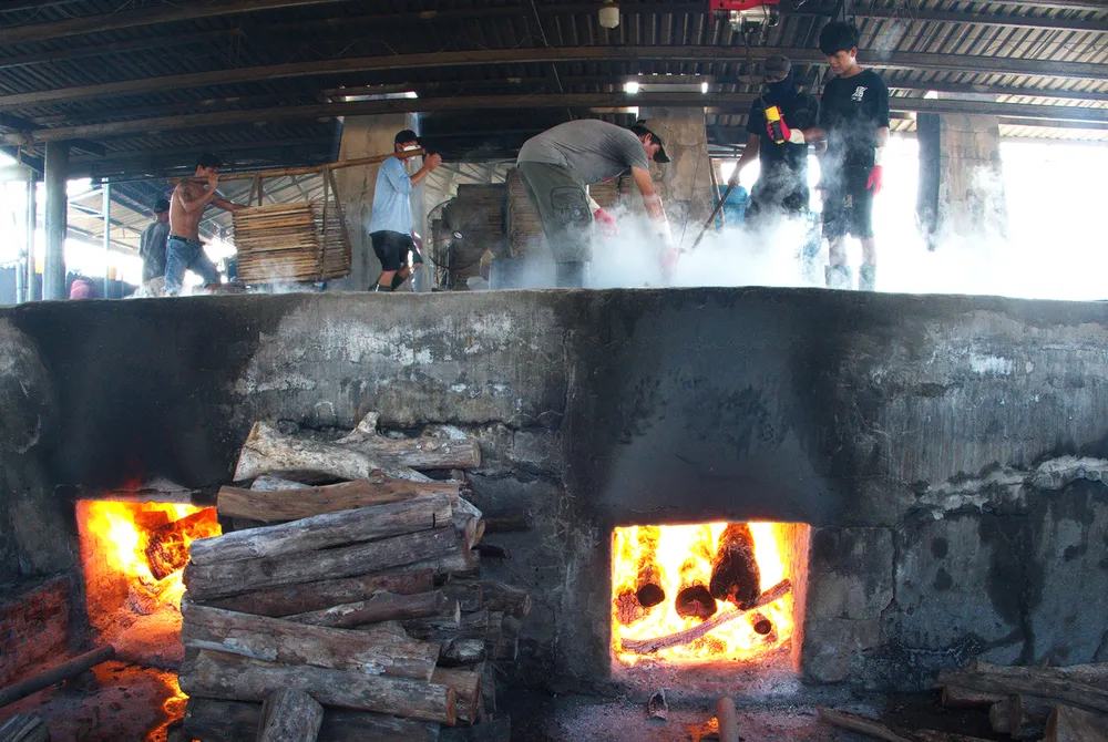 Trúng mùa cá cơm ảnh 5