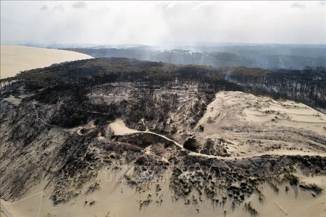  Rừng cây bị cháy rụi tại La Teste-de-Buch, miền Tây Nam Pháp ngày 21-7-2022. Ảnh: AFP/TTXVN