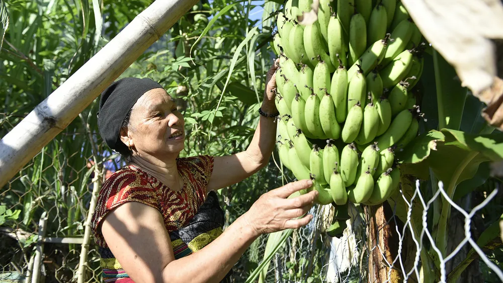Sa Ná hồi sinh ảnh 6