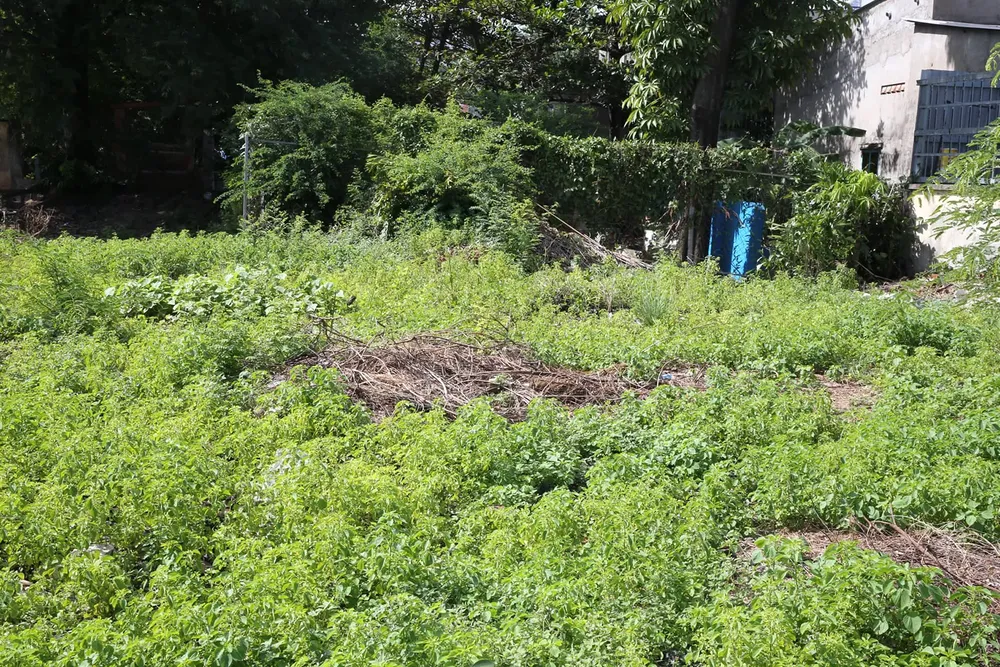 Báo động di tích xuống cấp, bị xâm hại ảnh 2