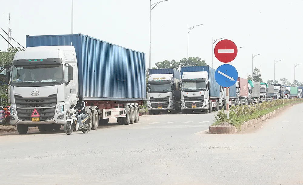 Kinh tế cửa khẩu chưa như kỳ vọng - Bài 1: Các khu kinh tế cửa khẩu phía Bắc - Tiềm năng lớn nhưng chưa “bung” hết ảnh 1