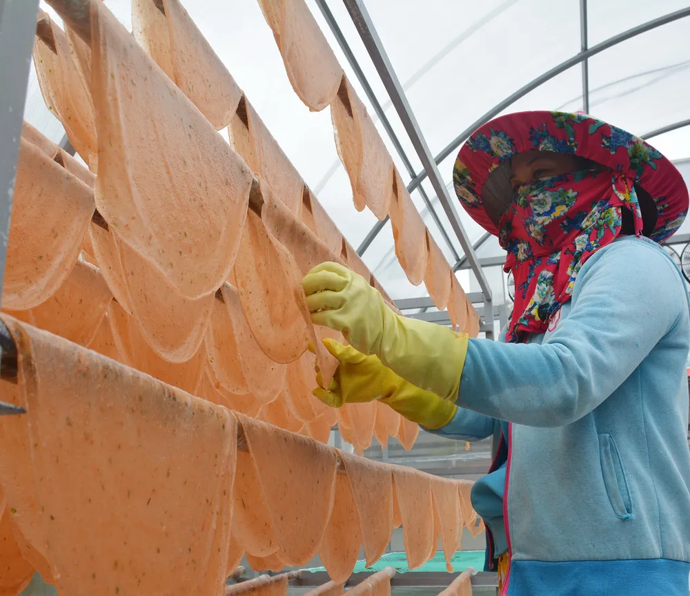 ĐBSCL tất bật chuẩn bị hàng hóa phục vụ tết ảnh 2