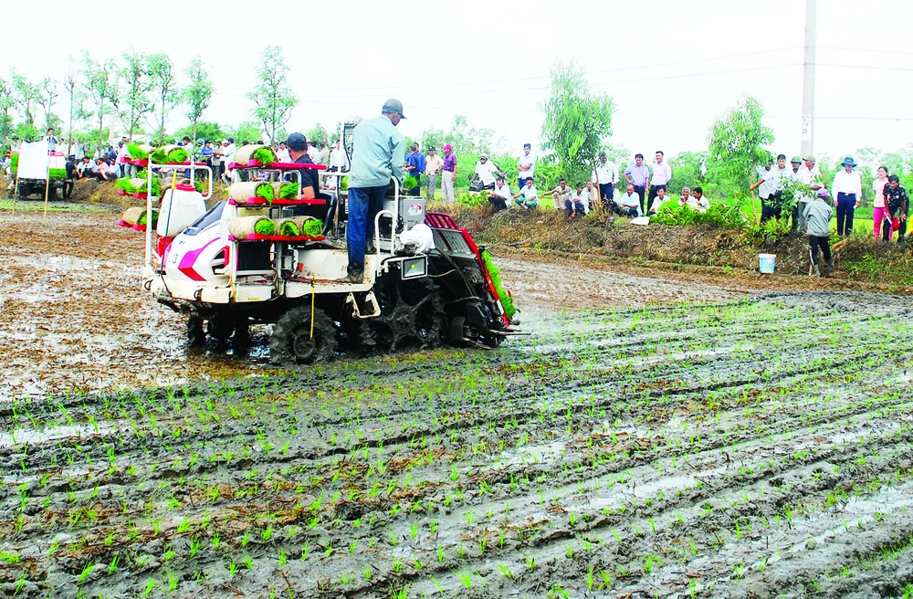 Giúp nông dân thu lợi từ “đơn đặt hàng” của doanh nghiệp xuất khẩu ảnh 1