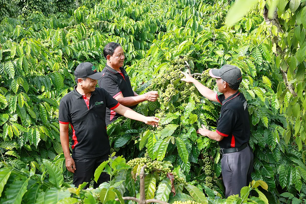 Tạo dựng nền kinh tế phi phát thải ảnh 1