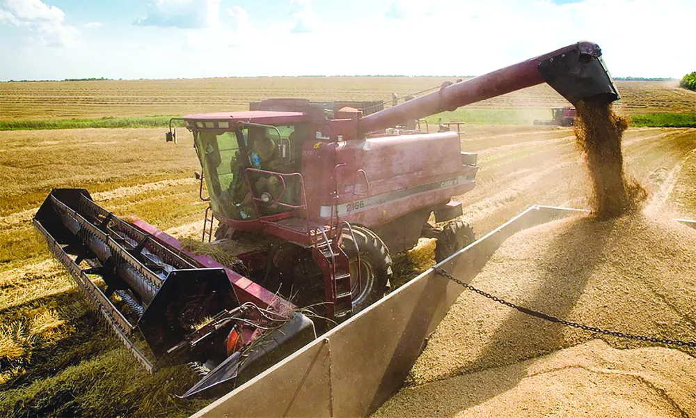 Ukraine khởi động Sáng kiến ngũ cốc ảnh 1