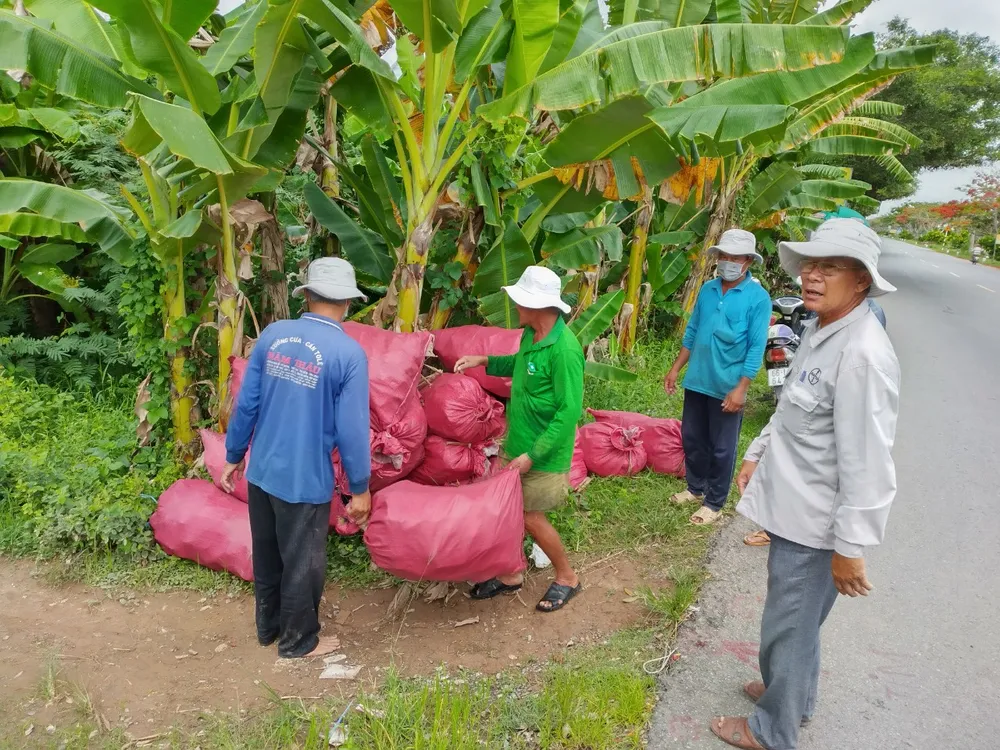 Ra quân thu gom bao bì thuốc BVTV