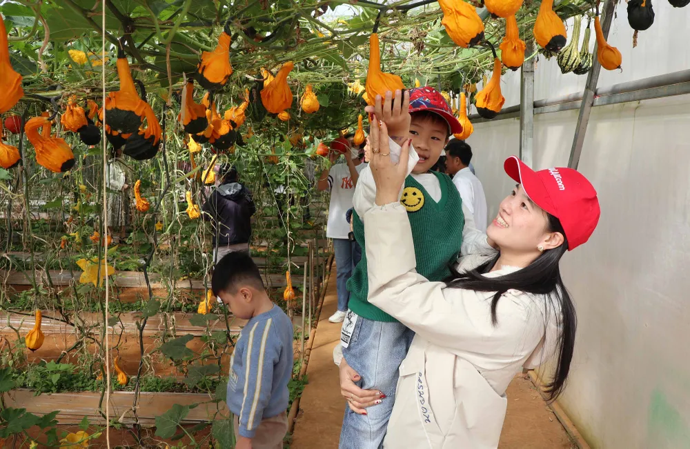 Du khách tham quan trang trại rau và hoa tại làng hoa Vạn Thành, phường 5, TP Đà Lạt