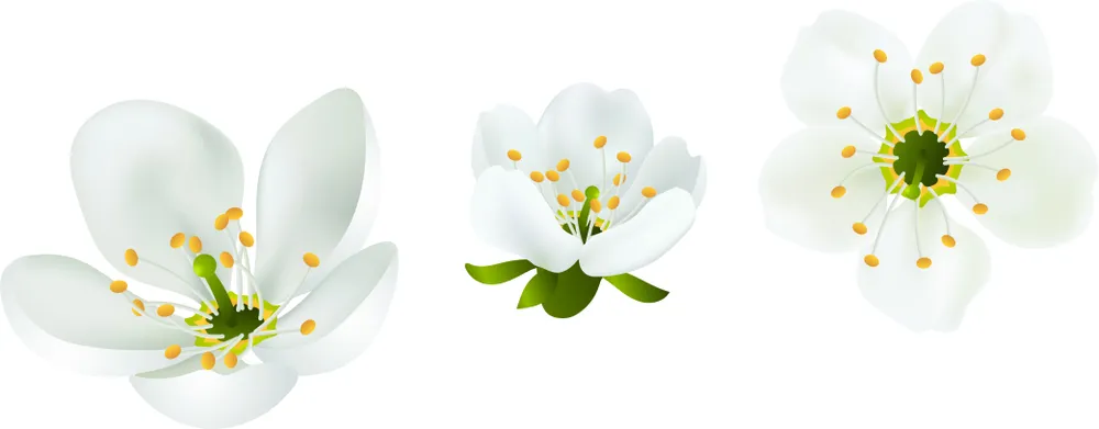 Niềm yêu của anh 