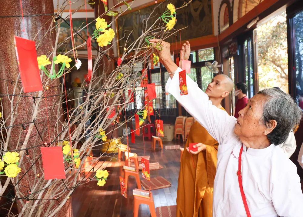 Người dân hái lộc để mong cầu một năm mới mạnh khỏe, vạn sự như ý