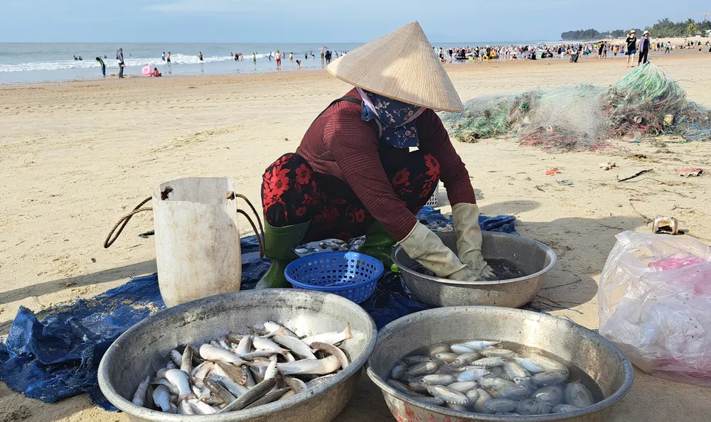 Cá, mực tươi rói được ngư dân bày bán ngay trên bãi biển