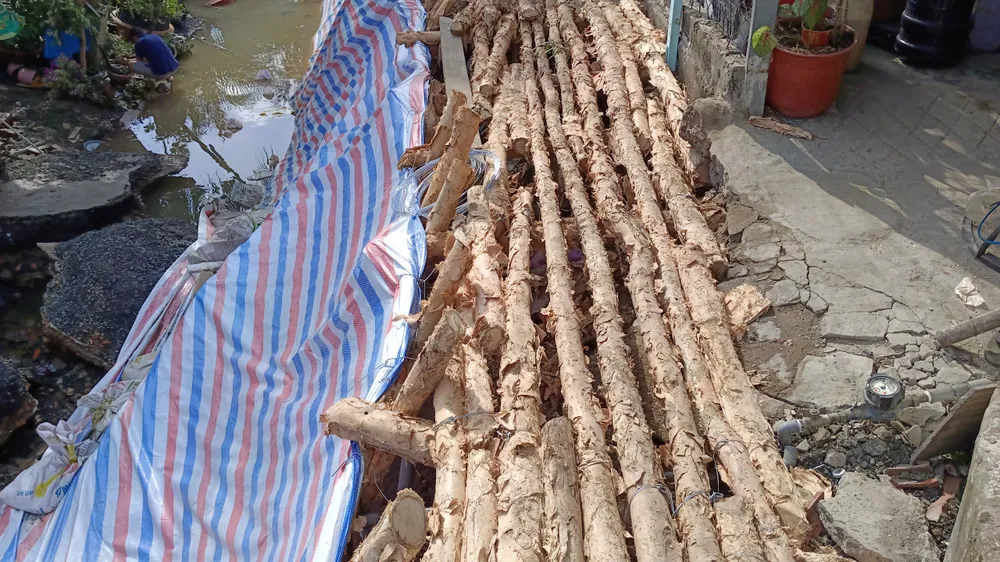 Lực lượng chức năng đóng cừ tràm để gia cố đoạn sạt lở, đồng thời là tuyến đường tạm để người dân đi lại. Ảnh: THANH NGHĨA