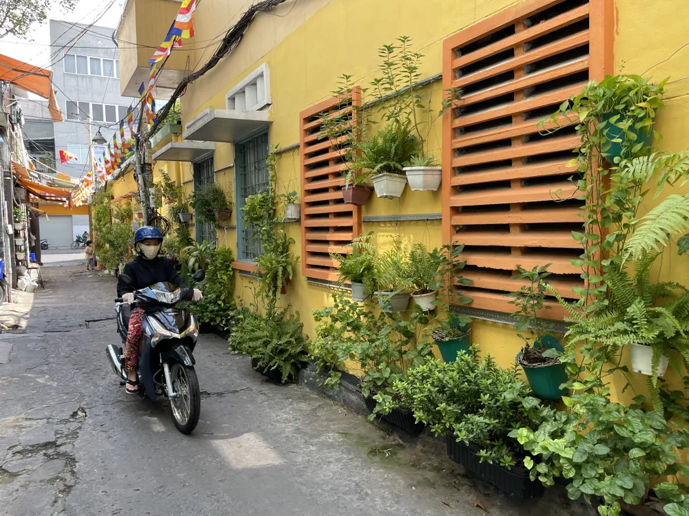 Bức tường xanh sống động giữa lòng thành phố tại hẻm 80 đường Cao Thắng, quận 3, TPHCM. Ảnh: HOÀNG HÙNG Bức tường xanh sống động giữa lòng thành phố tại hẻm 80 đường Cao Thắng, quận 3, TPHCM. Ảnh: HOÀNG HÙNG