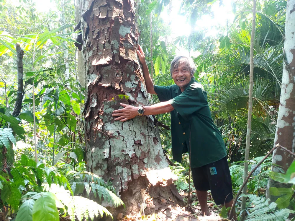 Ông Trần Ngọc Lâm (huyện Hương Sơn, tỉnh Hà Tĩnh) bên một cây Lim xanh cổ thụ. Ảnh: DƯƠNG QUANG
