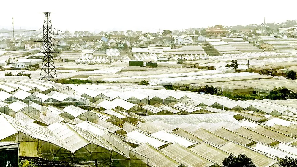 CBAM là cơ hội để doanh nghiệp chuyển đổi mô hình kinh tế xanh