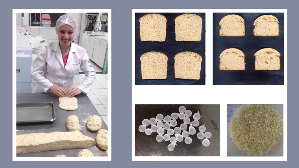 Nhà nghiên cứu Ana Paula Carvalho làm bột nhào bánh mì chức năng. Ảnh: MEDICAL EXPRESS