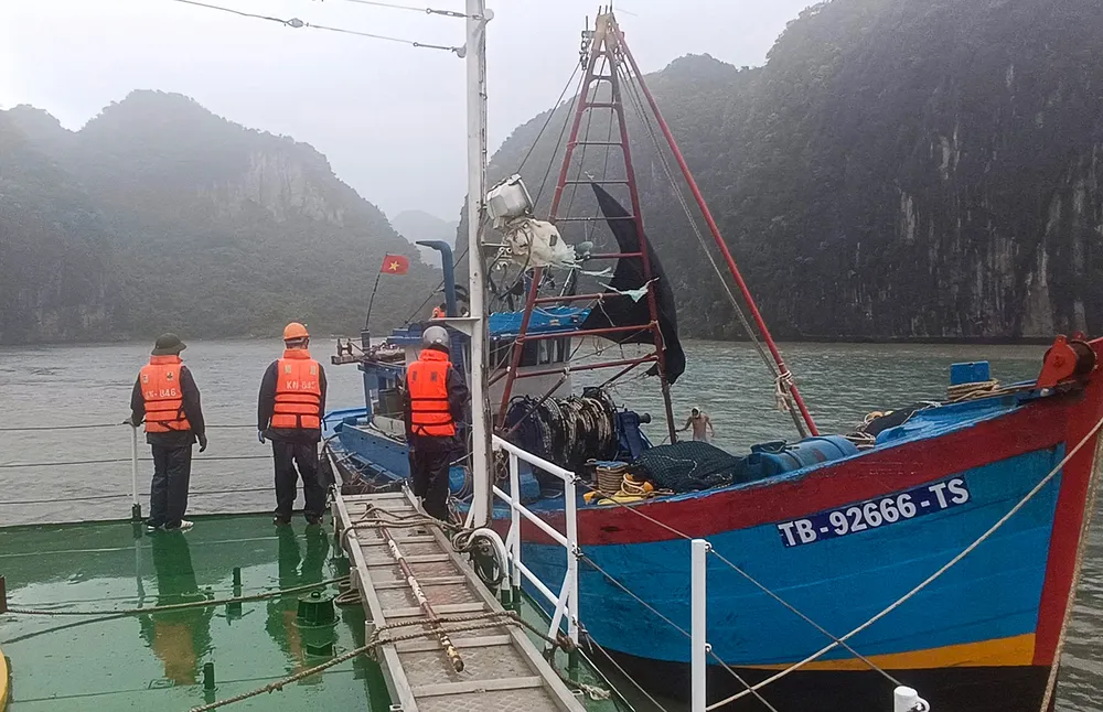 PSA - Anh2-tau ca 2.jpg