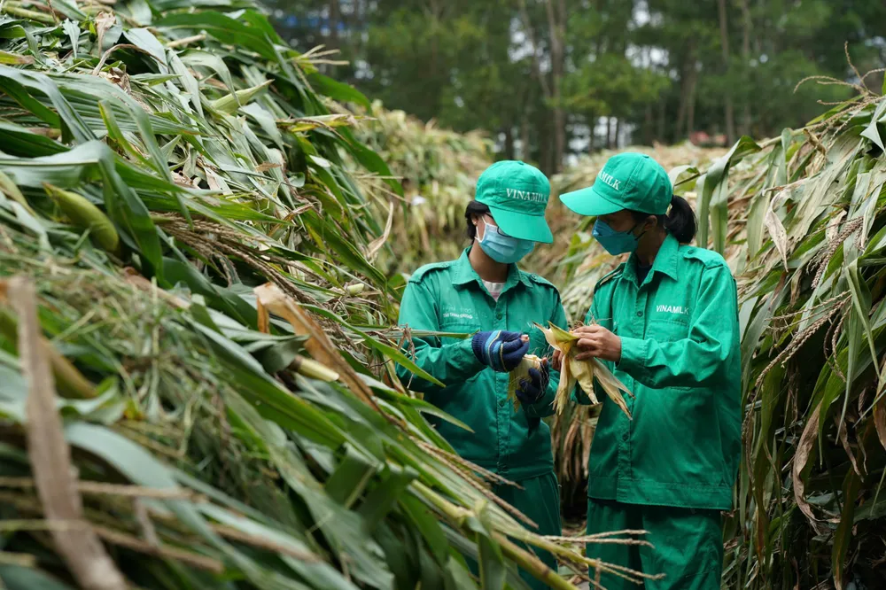 Phát triển xanh- Nâng niu hạt giống.jpg