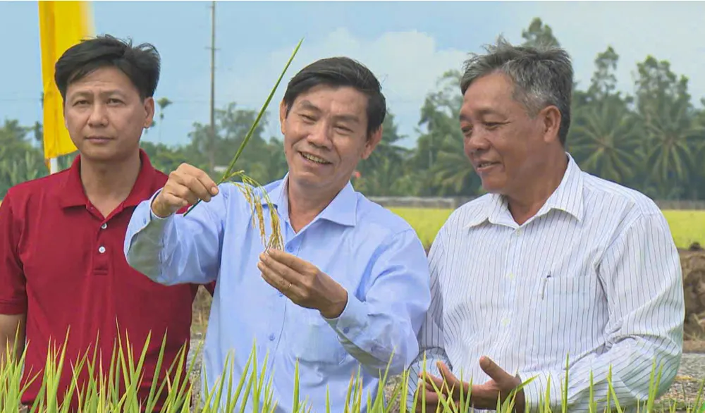 Ngành chức năng và nông dân huyện Long Phú (Sóc Trăng)  thăm ruộng lúa sản xuất theo Đề án 1 triệu ha lúa chất lượng cao.jpg