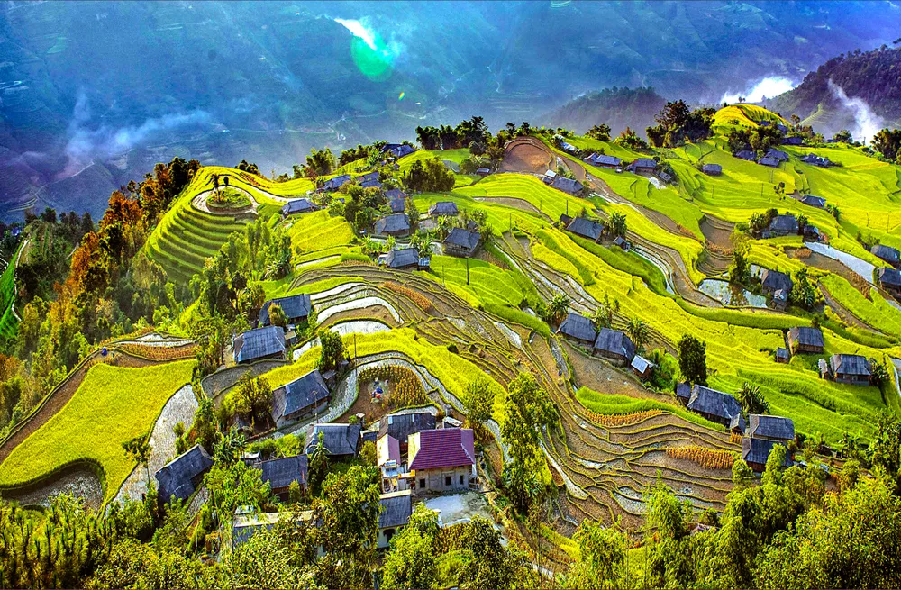 NK 26-3-Bản Phùng, Hoàng Su Phì mùa gặt.jpeg