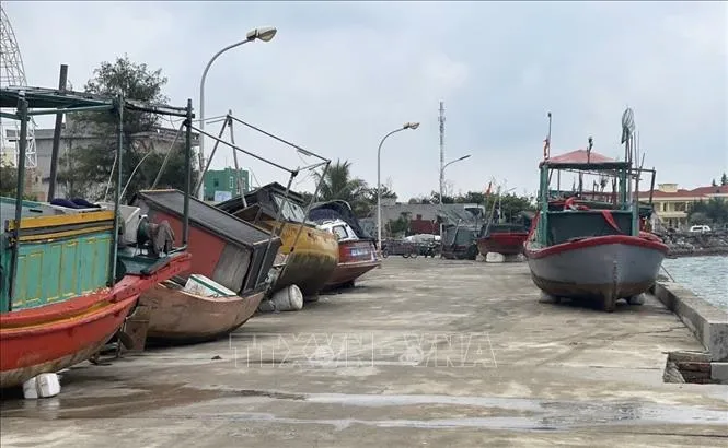 Các tàu đánh cá đã được lực lượng chức năng Đặc khu Bạch Long Vĩ và ngư dân đưa lên bờ tránh bão an toàn. Ảnh: TTXVN