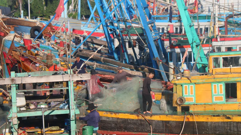 Lâm Đồng: Cấm ra biển, yêu cầu tàu thuyền neo đậu an toàn