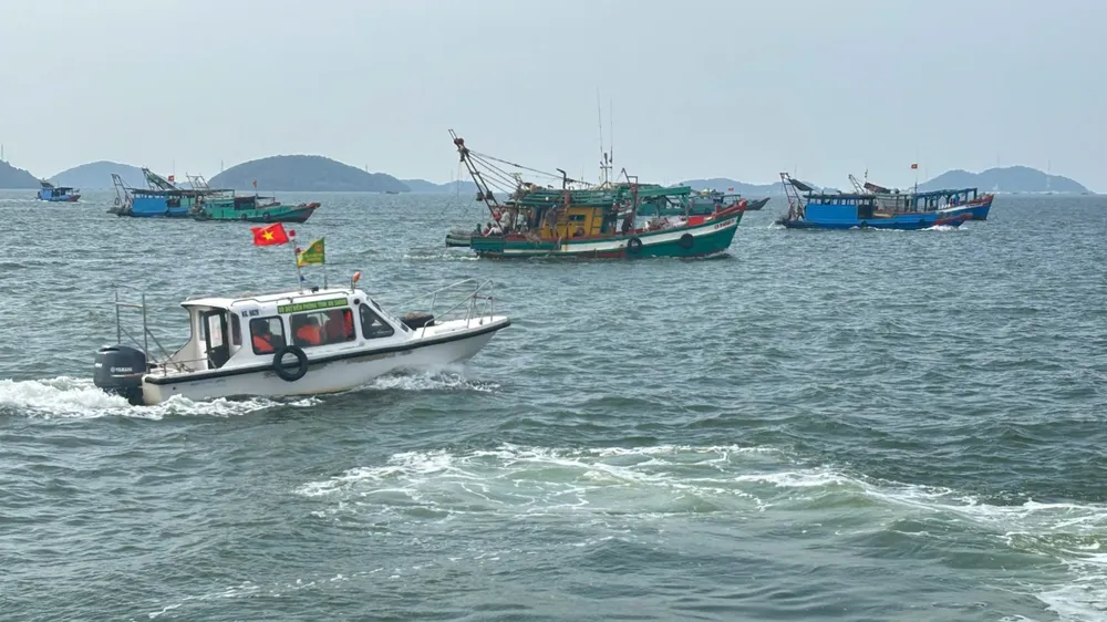 Tàu cá hoạt động tại khu vực cấm khai thác ở vùng biển Kiên Lương