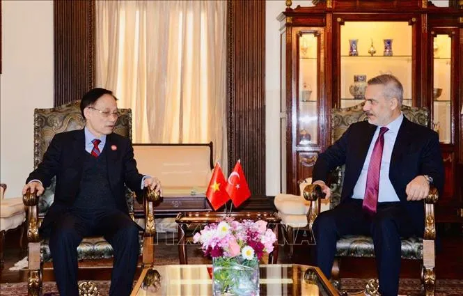 Bộ trưởng Ngoại giao Lê Hoài Trung gặp Bộ trưởng Ngoại giao Thổ Nhĩ Kỳ Hakan Fidan. Ảnh: TTXVN