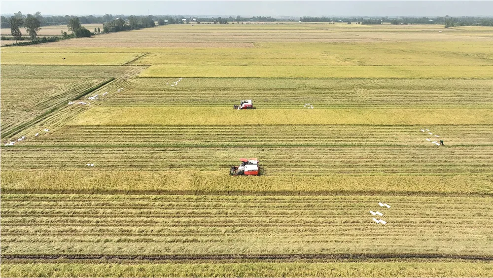 Chiến sự Trung Đông khiến giá phân bón tăng hơn 30%