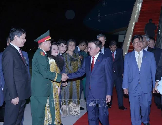 Cán bộ, nhân viên Đại sứ quán Việt Nam tại Campuchia đón Thường trực Ban Bí thư Trần Cẩm Tú cùng Đoàn đại biểu cấp cao Việt Nam tại sân bay quốc tế Techo. Ảnh: TTXVN