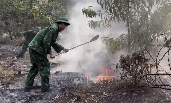 Cán bộ chiến sĩ Đồn Biên phòng cửa khẩu cảng Chân Mây, Ban Chỉ huy Bộ đội Biên phòng thành phố Huế phối hợp với chính quyền địa phương kịp thời khống chế vụ cháy rừng tại xã Chân Mây - Lăng Cô. Ảnh: TTXVN