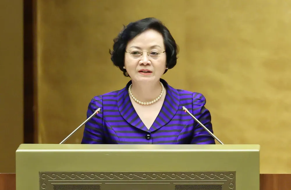 pho-thu-tuong-chinh-phu-pham-thi-thanh-tra-1314-1134.jpg