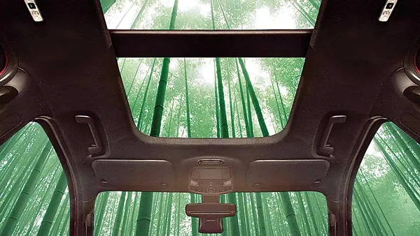 Ford và xu hướng sử dụng vật liệu xanh trong sản xuất ô tô  ảnh 1