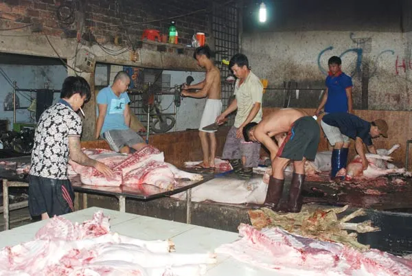 Đông Nai phát hiện lò mổ heo lậu quy mô lớn ảnh 1