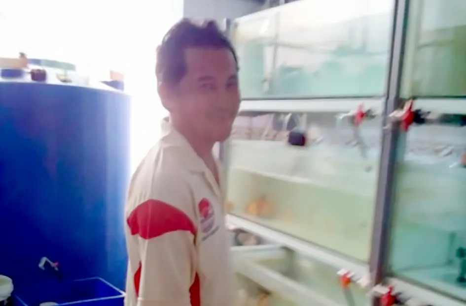 Thành công nhờ mê cá cảnh